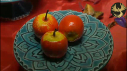 کلیپ عید نوروز  آهنگ عید نوروز