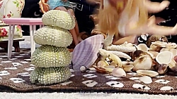 باربی ها و صدف های جزیره لاوان