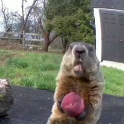 کلیپ خنده دار