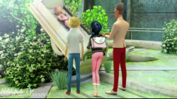 تسلیم شدن لیدی باگ و کت نوار و...