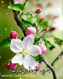 کلیپ سال نو مبارک / کلیپ تبریک...