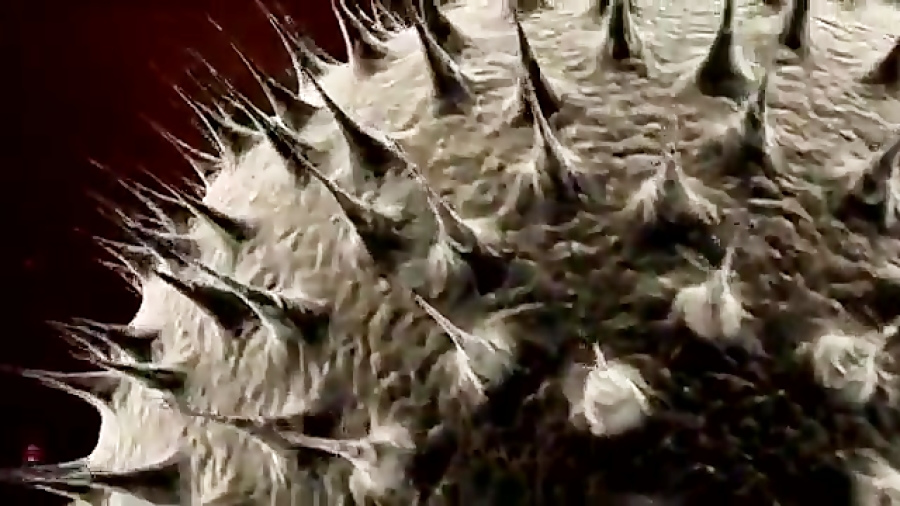 مقایسه ساختمان DNA و RNA ارنیزوماب
