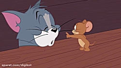 کارتون تام و جری - موش و گربه