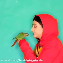 کلیپ باحال و خنده دار سرنا امی...