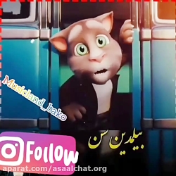 عاشقانه های گربه ها...