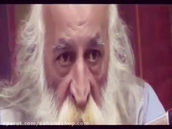 سخنانی از استاد محمدرضا لطفی