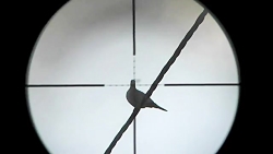 شکارتوسط سلاح بادی(اسلوموشن -1...