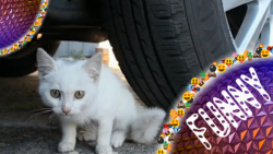 ردشدن از اشیا