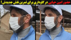 حضور امین حیایی در گاوداری برا...