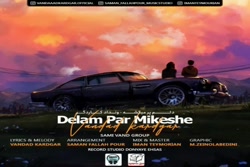 آهنگ ونداد - دلم پر میکشه