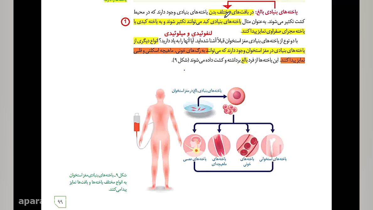 جلسه چهل و ششم تدریس زیست دوازدهم شکیرا