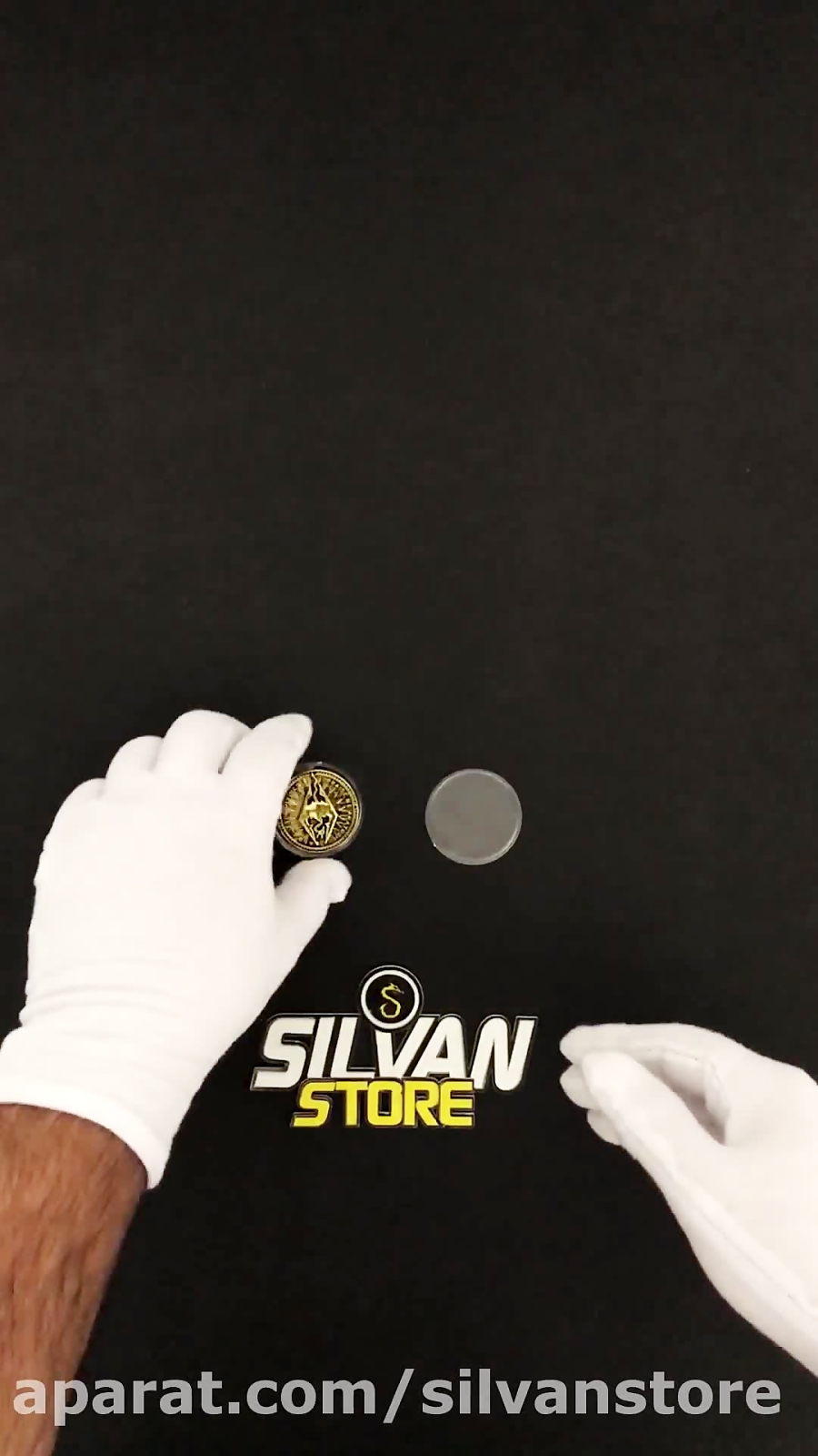 خرید سکه طلا اسکایریم ( سپتیم ) از فروشگاه سیلوان