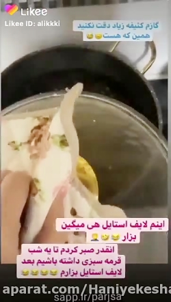 قرمه سبزی سرنا امینی