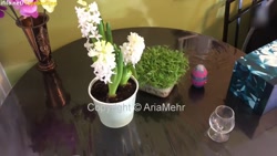 چیدن سفره هفت سین برای عید نوروز _ سفره هفت سین جشن نوروز