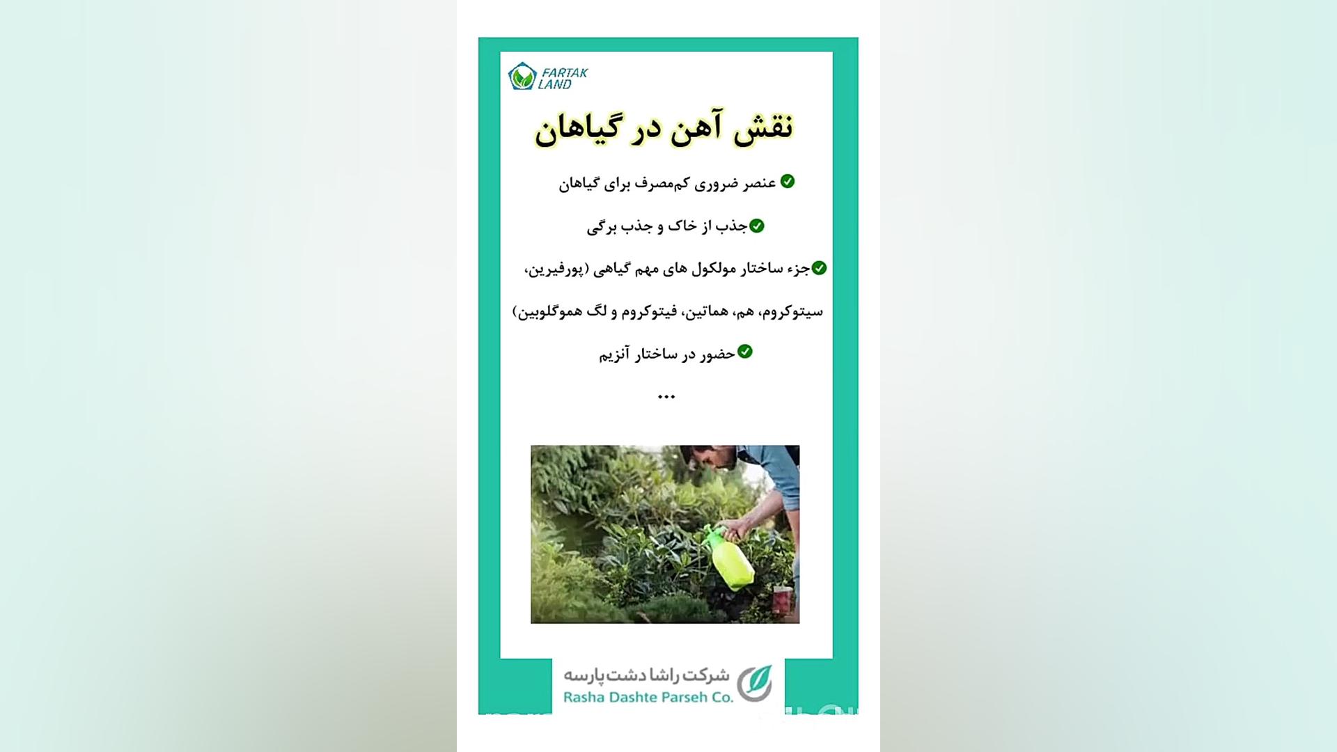 عنصر آهن در گیاهان لیزر فرکشنال