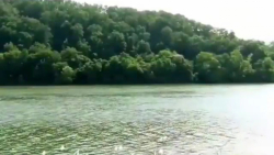 کلیپ جذاب آهنگ شاخه گل از کسری...