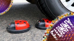 له کردن اشیا کیوت با ماشین - ر...