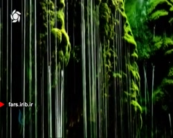 ترانه زیبای " خاک وطن " با صدا...