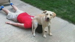 کلیپ طنز فوق خنده دار