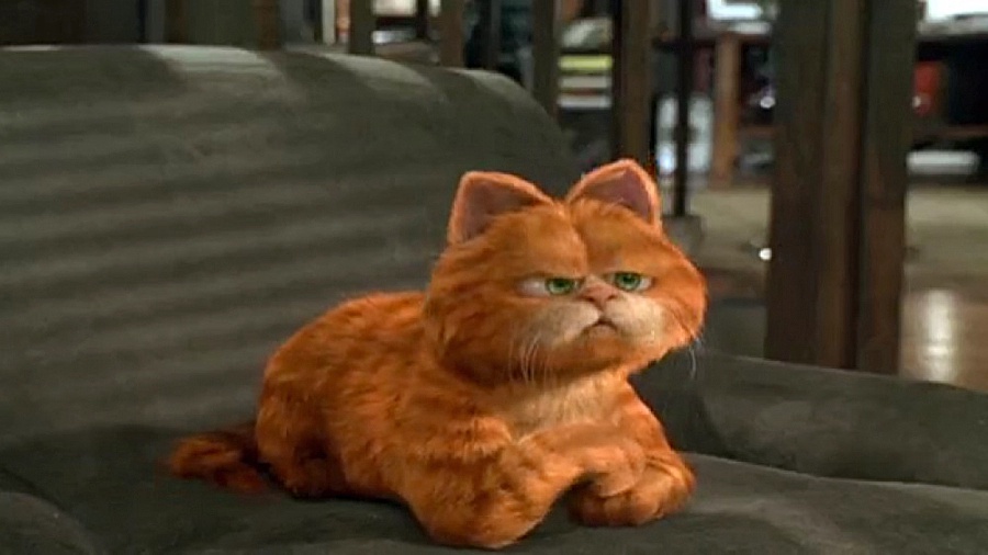 انیمیشن سینمایی گارفیلد 1 _ Garfield 2004 _ دوبله فارسی زمان4812ثانیه