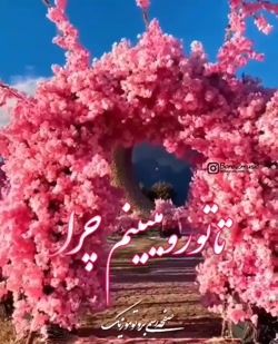 آهنگ جدیدشاد علی لهراسبی