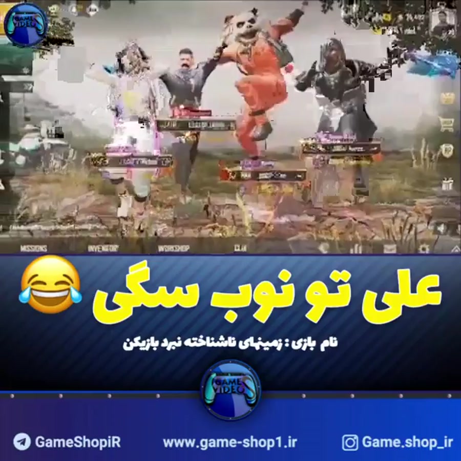 نوب سگ