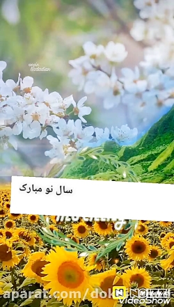سال نو مبارک . تبریک سال نو ....