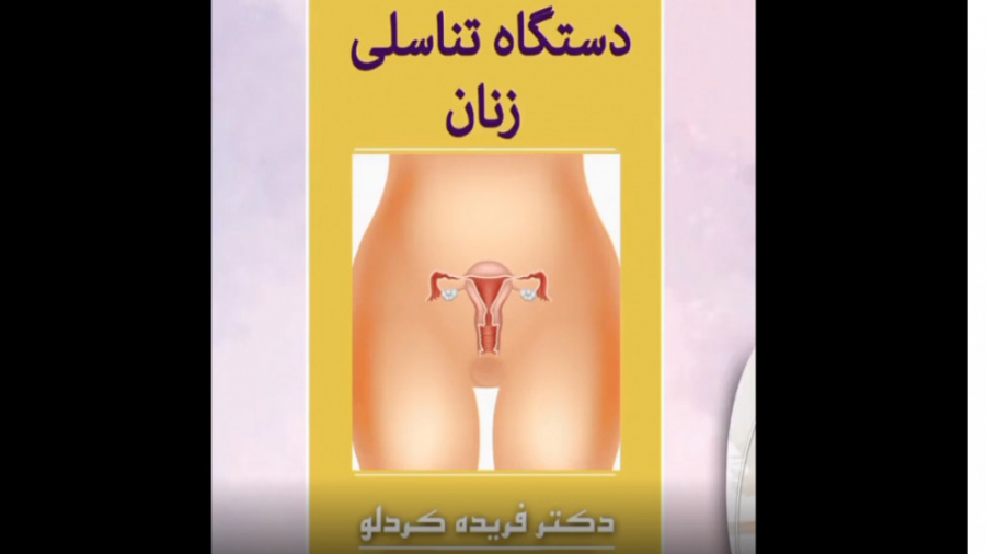 آناتومی دستگاه تناسلی زنان