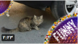 له کردن پیشی زیبا با ماشین_له...