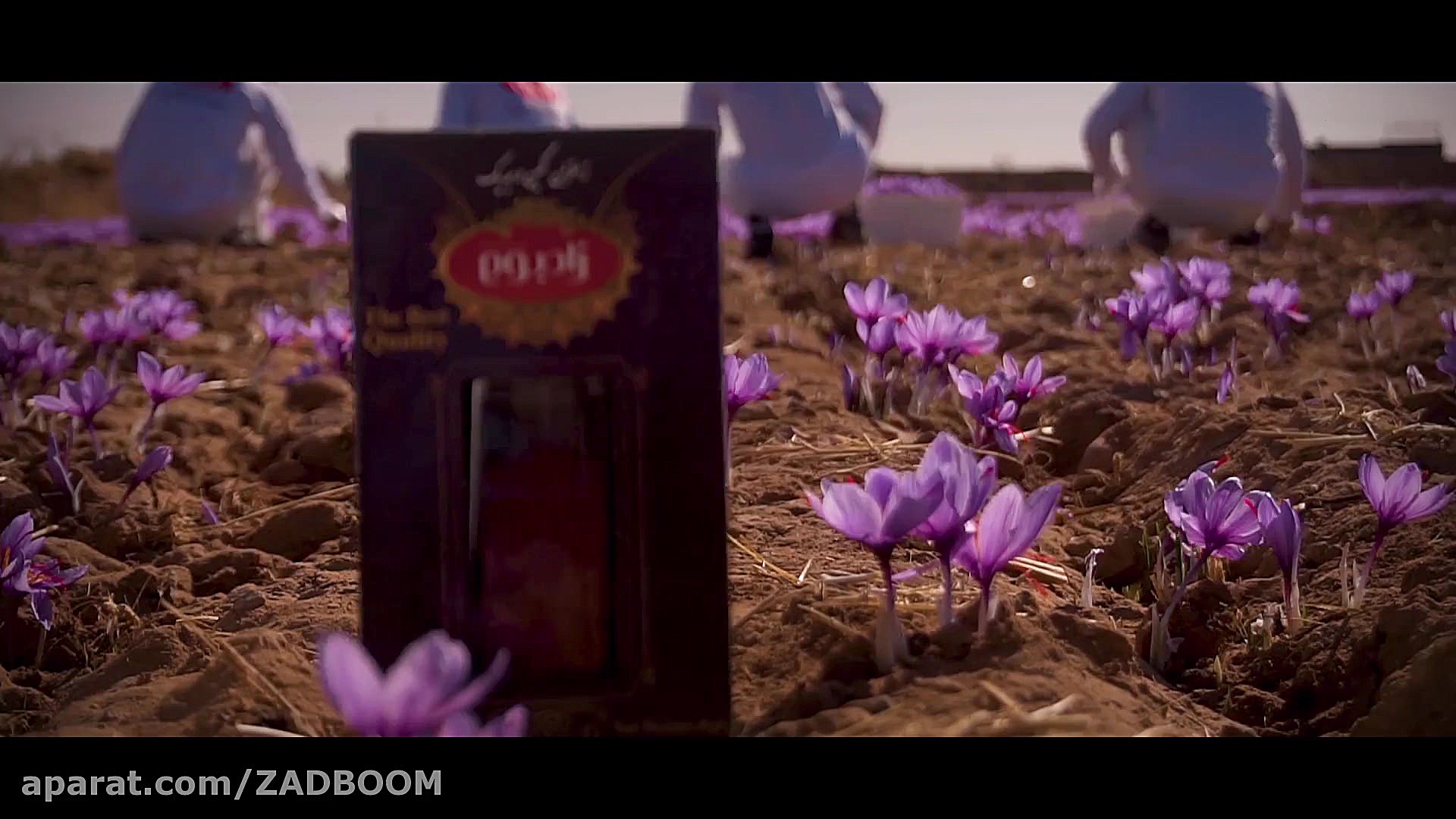معرفی زادبوم ZADBOOM زمان165ثانیه