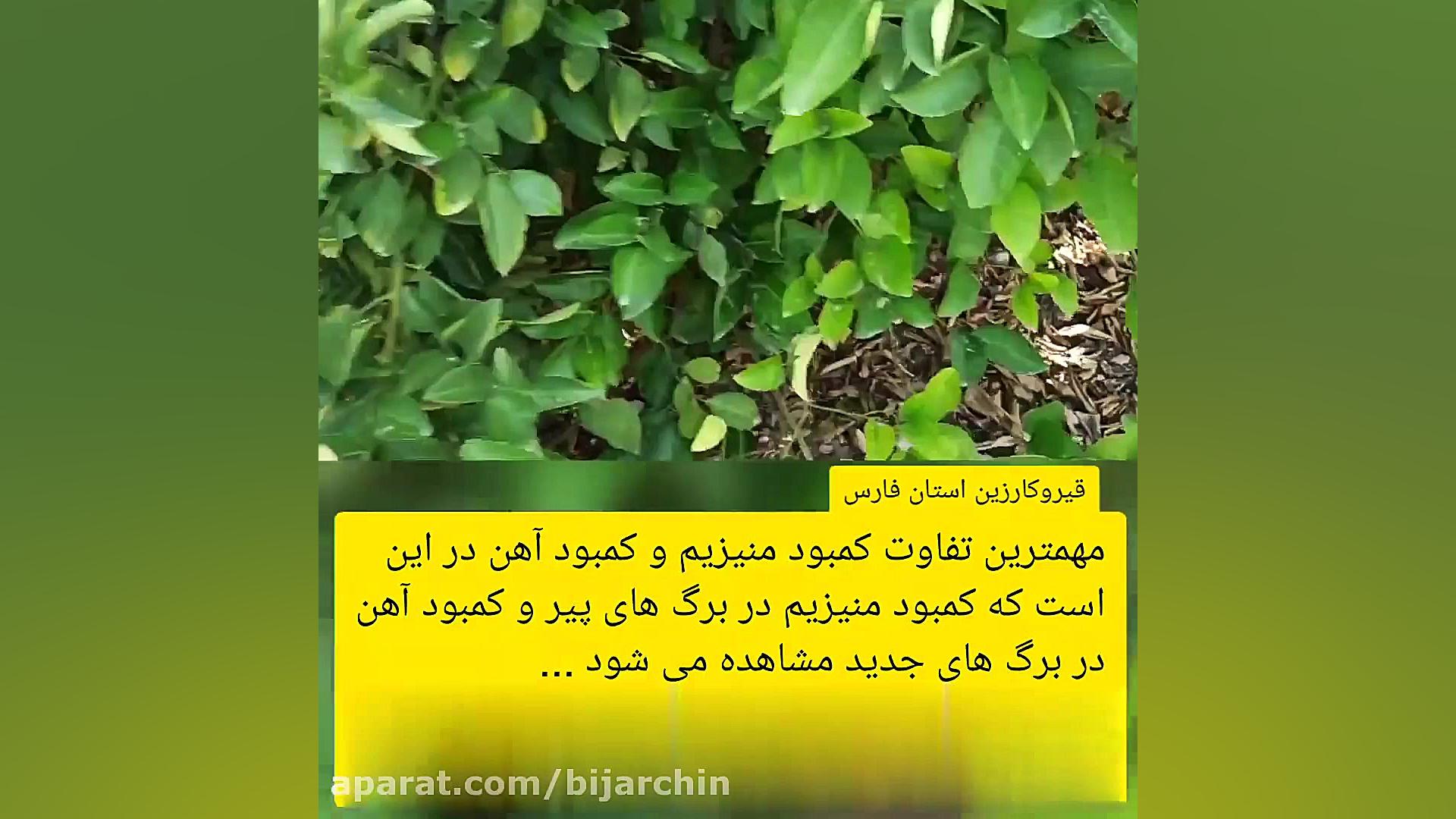 کمبود آهن و منیزیم - قسمت چهارم پروتز سینه