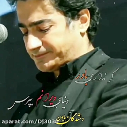 آهنگ همایون شجریان