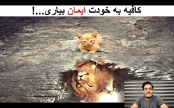کاش قبل از شروع فارکس مطالب ای...