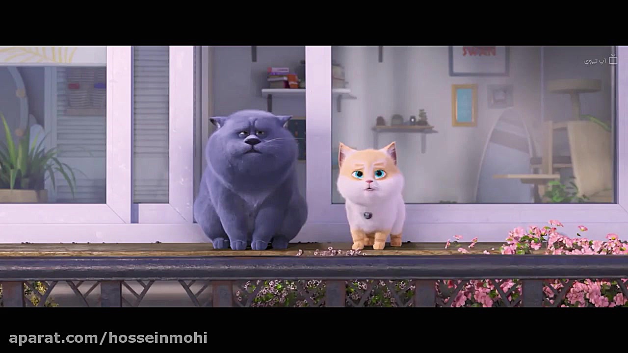 انیمیشن گربه ها 2020 Cats and Peachtopia دوبله فارسی زمان5234ثانیه