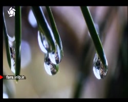 ترانه زیبای " دل " با صدای است...