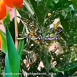 صبح بخیر انگیزشی ،انرژی مثبت،آ...