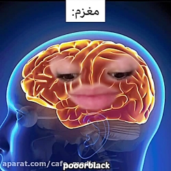 پریسا پورمشکی :: طنز پریسا ::...