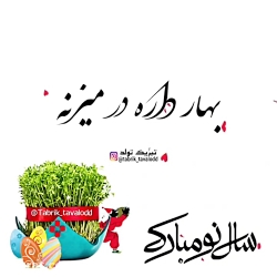 کلیپ تبریک سال نو  تبریک سال ج...