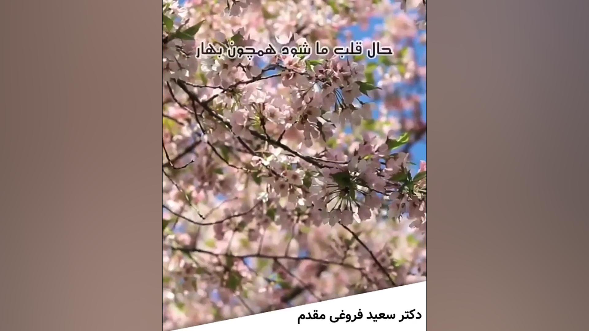 سال نو مبارک دکتر سعید فروغی متخصص ارتودنسی