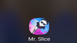 Mr slice