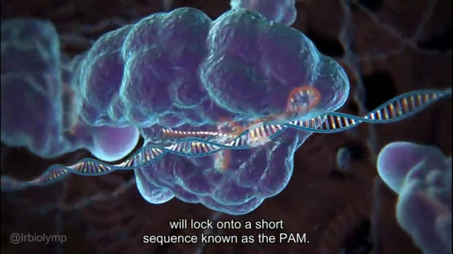 Genome Editing with CRISPR-Cas9 بیماری فیبری دیسپلازی