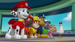 دانلود کارتون سگهای نگهبان / س...