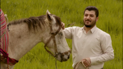 آوات بوکانی نوروز