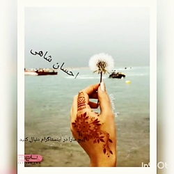 نقش حنا احسان شاهی