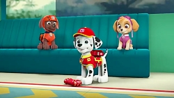 کارتون سگ های نگهبان/چهارپنجه/...