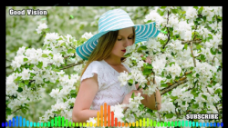 آهنگ شاد افغانی - موزیک افغانی...