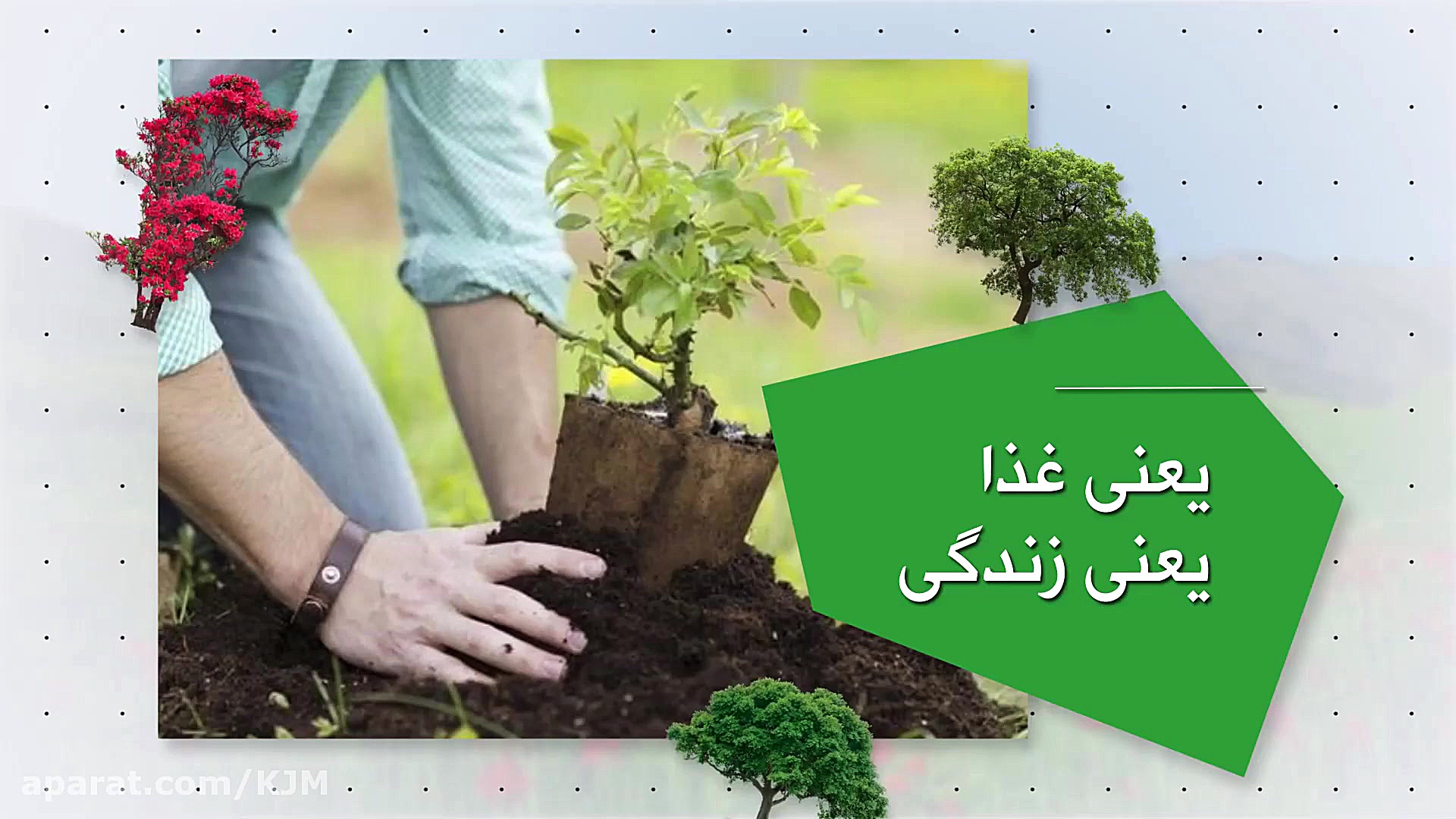 تیزر زهرا سادات موسوی