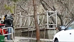 دوربین مخفی  دوربین مخفی ایران...