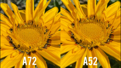 تست دوربین Galaxy A52 در مقابل...