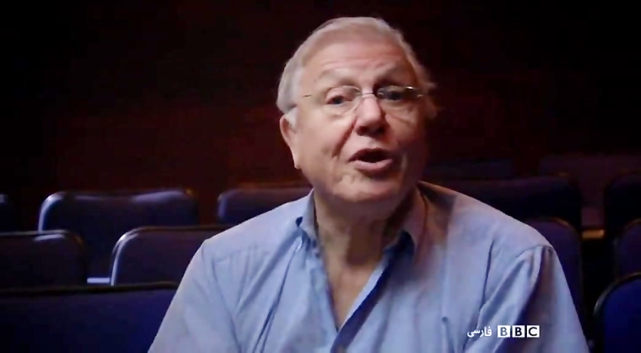 مستند دیوید اتنبرو : 60 سال در حیات وحش با دوبله فارسی زمان206ثانیه